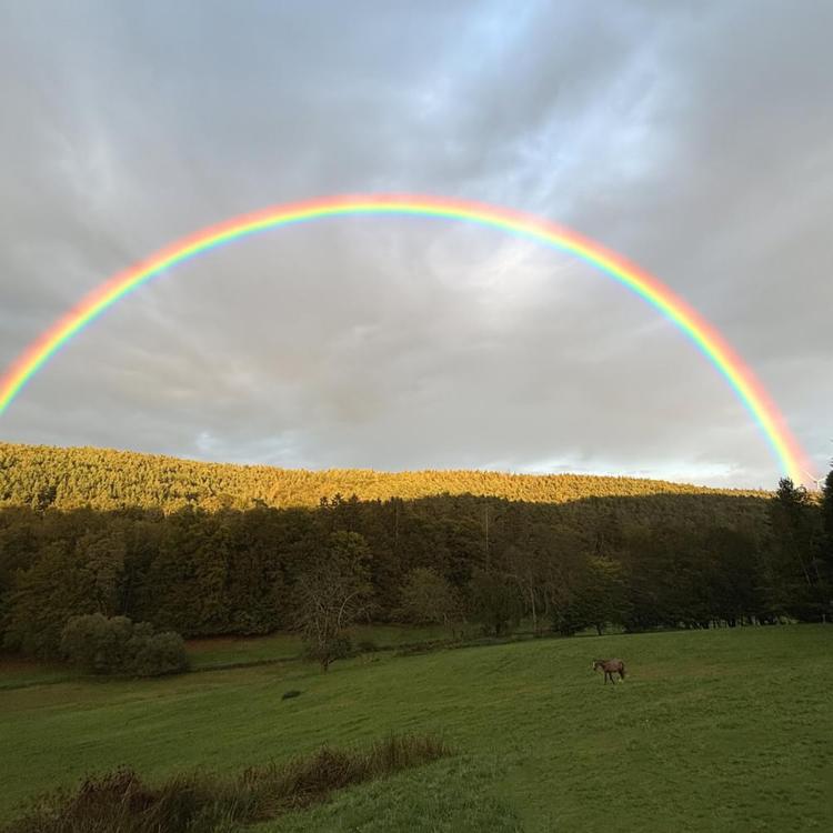 Leuchtender Regenbogen