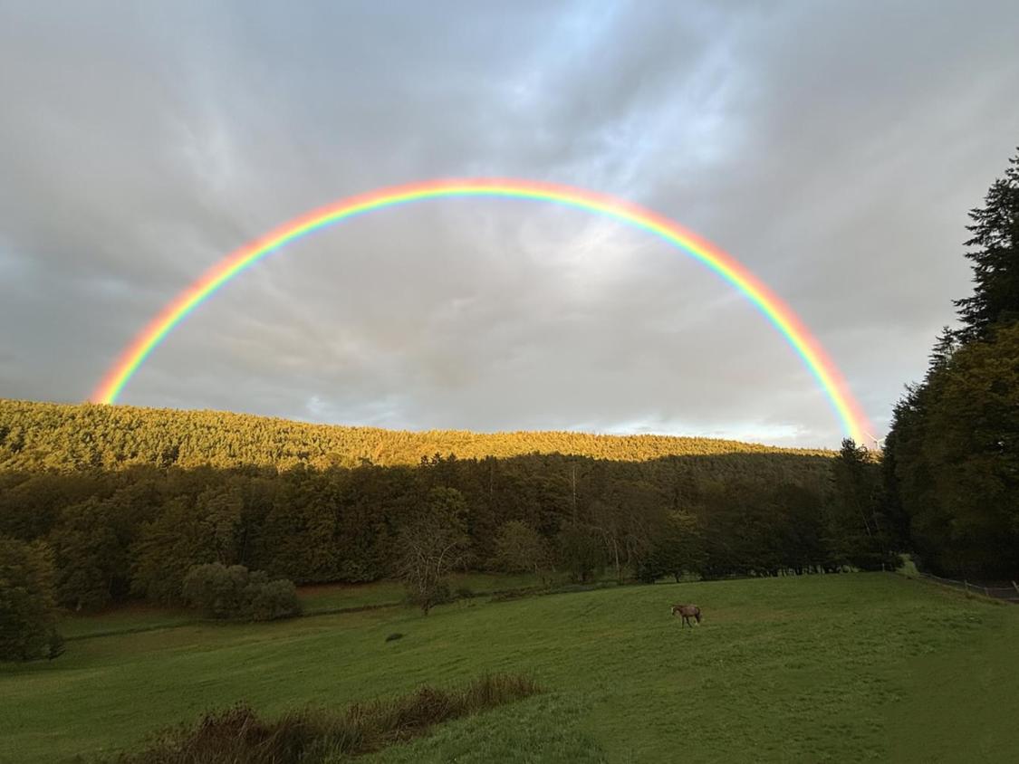 Leuchtender Regenbogen