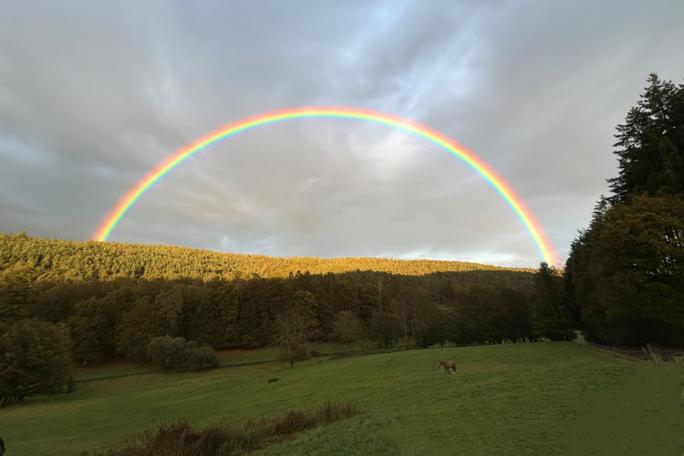 Leuchtender Regenbogen