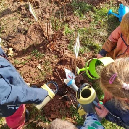 Kinder Pflanzen Sträucher