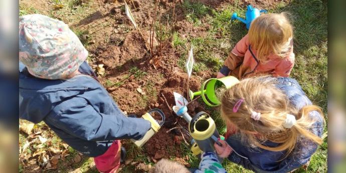 Kinder Pflanzen Sträucher