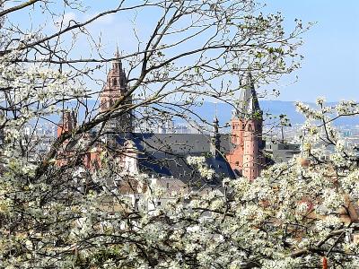 Mainzer Dom im Frühling 2022
