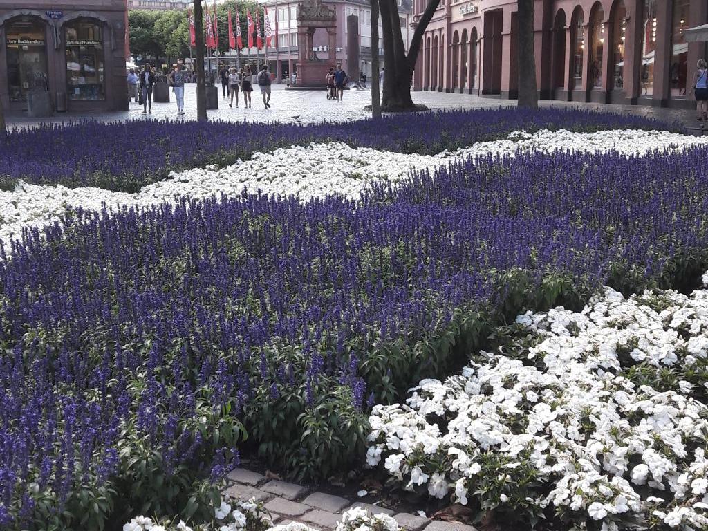 Blumen in Mainz