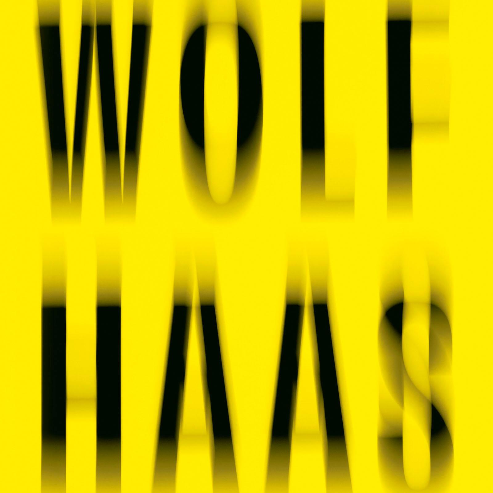 Wolf Haas: Wackelkontakt