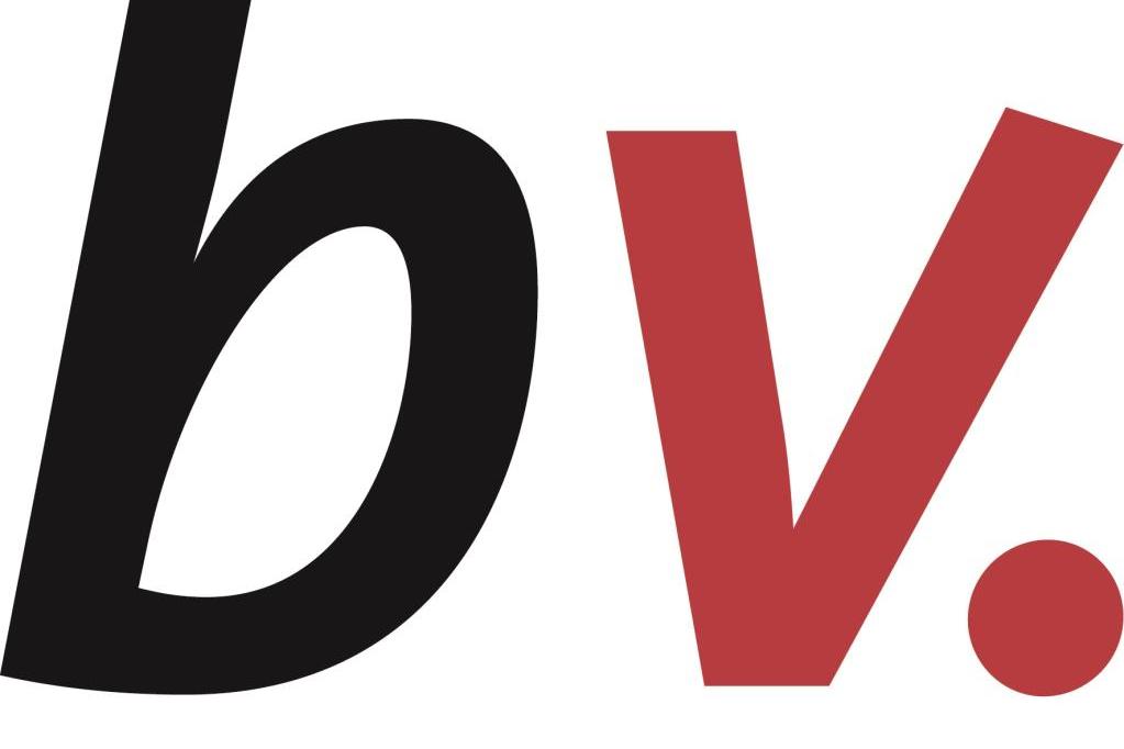 Logo Borromäusverein e.V.