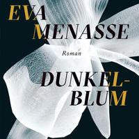 Eva Menasse: Dunkelblum