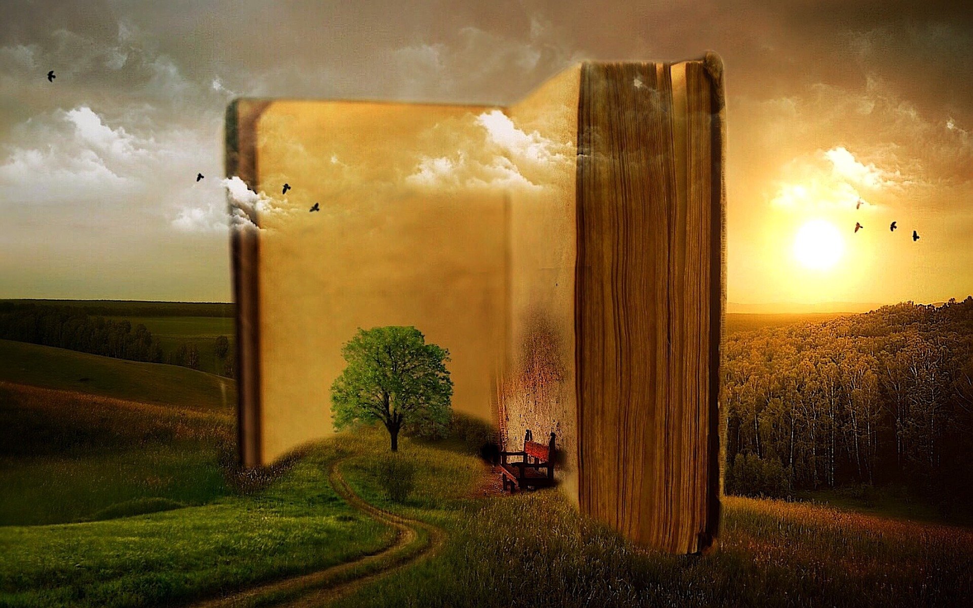Literatur, Natur, Nachhaltigkeit - LAG-Tagung 2022 (c) Mysticsartdesign / pixabay.com