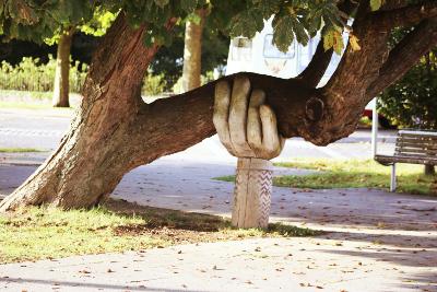 Eine Hand stützt den Ast eines Baumes