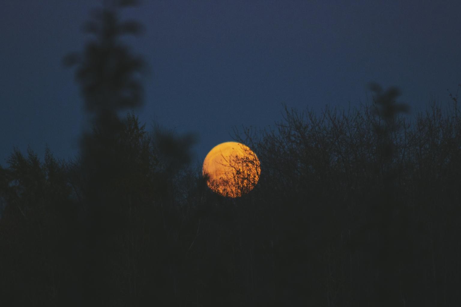 Mondnacht (c) Foto von Noah Silliman auf Unsplash