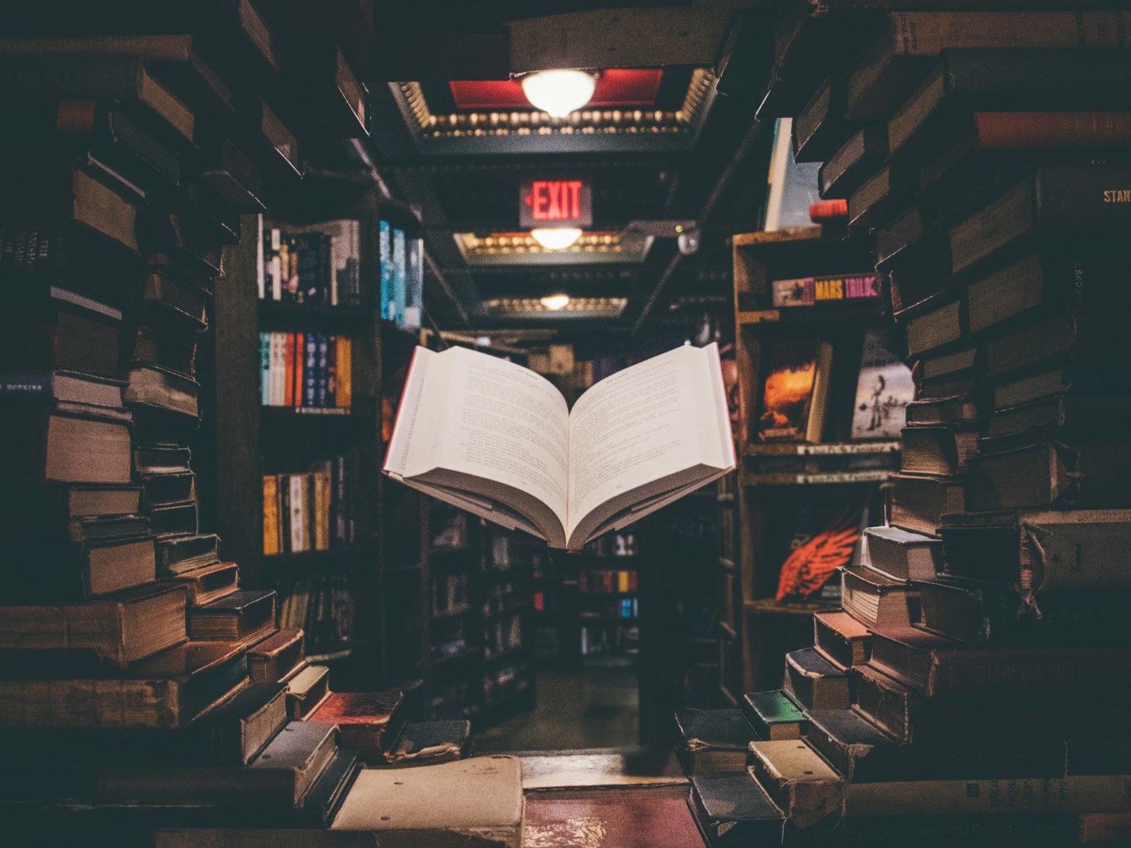 Unser Medienkatalog (c) Jaredd Craig @Unsplash