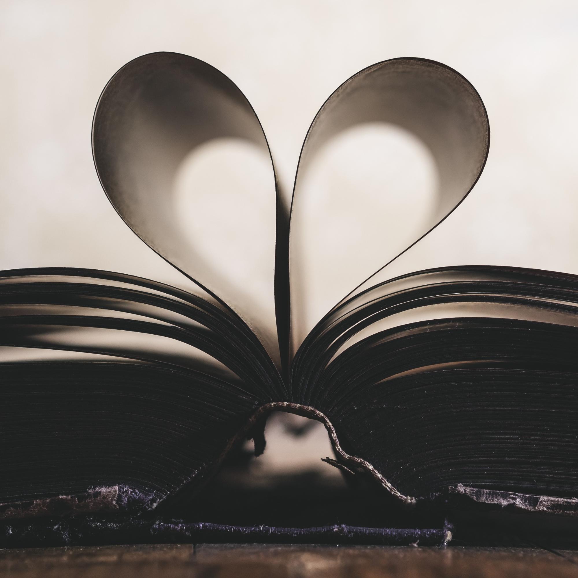 12_Buchherz