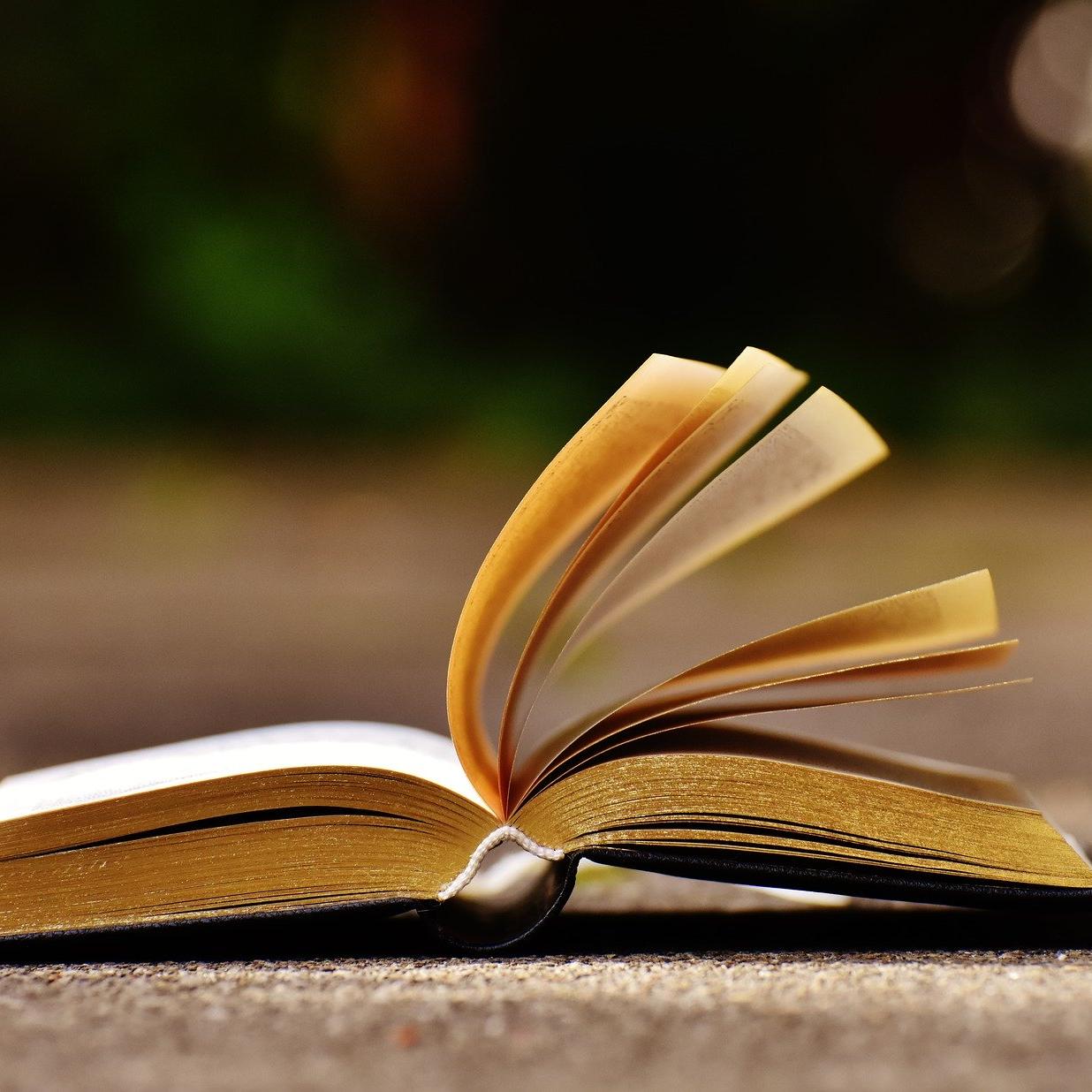Aufgeschlagenes-Buch_Pixabay-1738609_1920