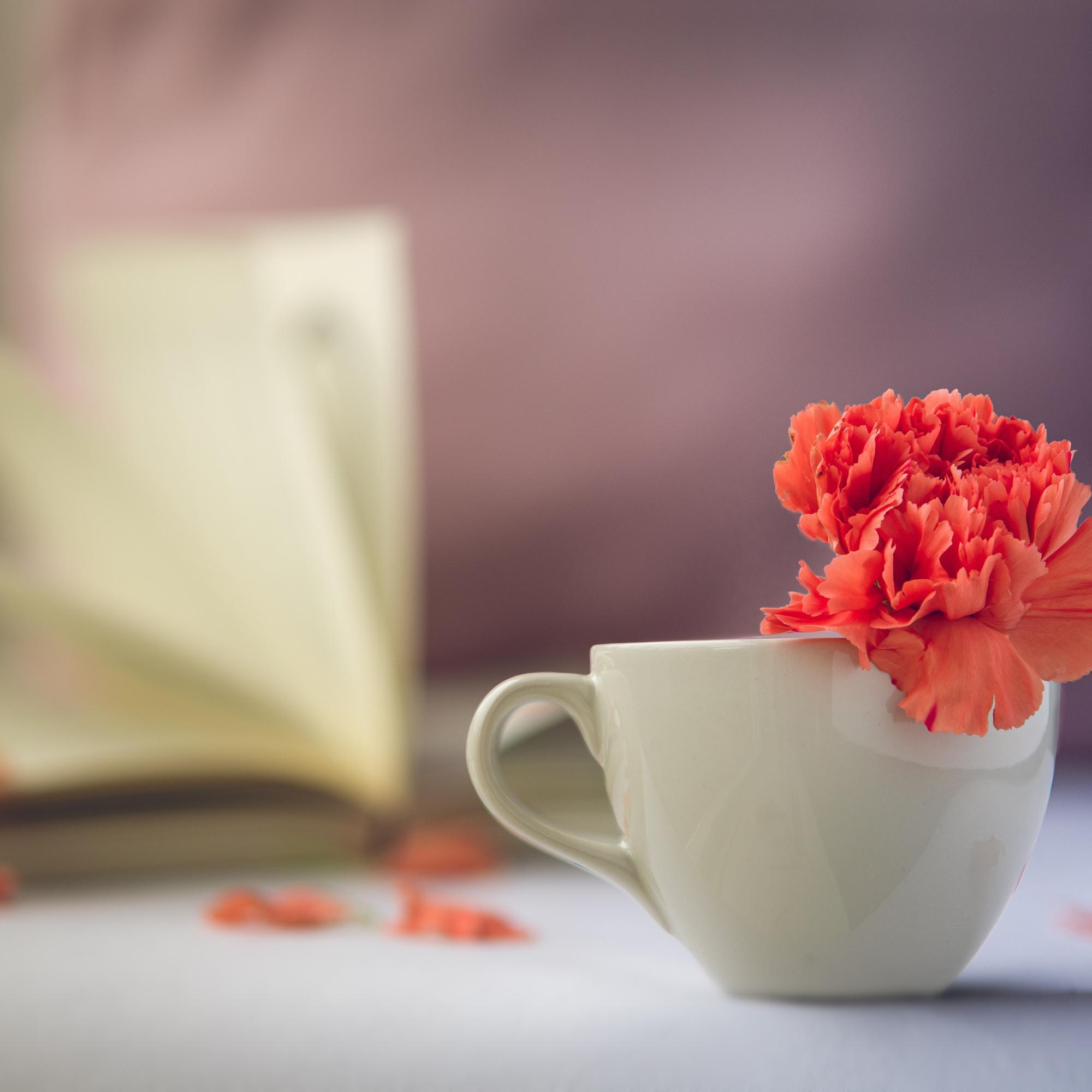 B&K_Tasse-mit-Nelke