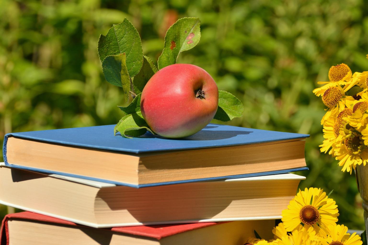 Bücher-Apfel-Blumen (c) www.pixabay.com