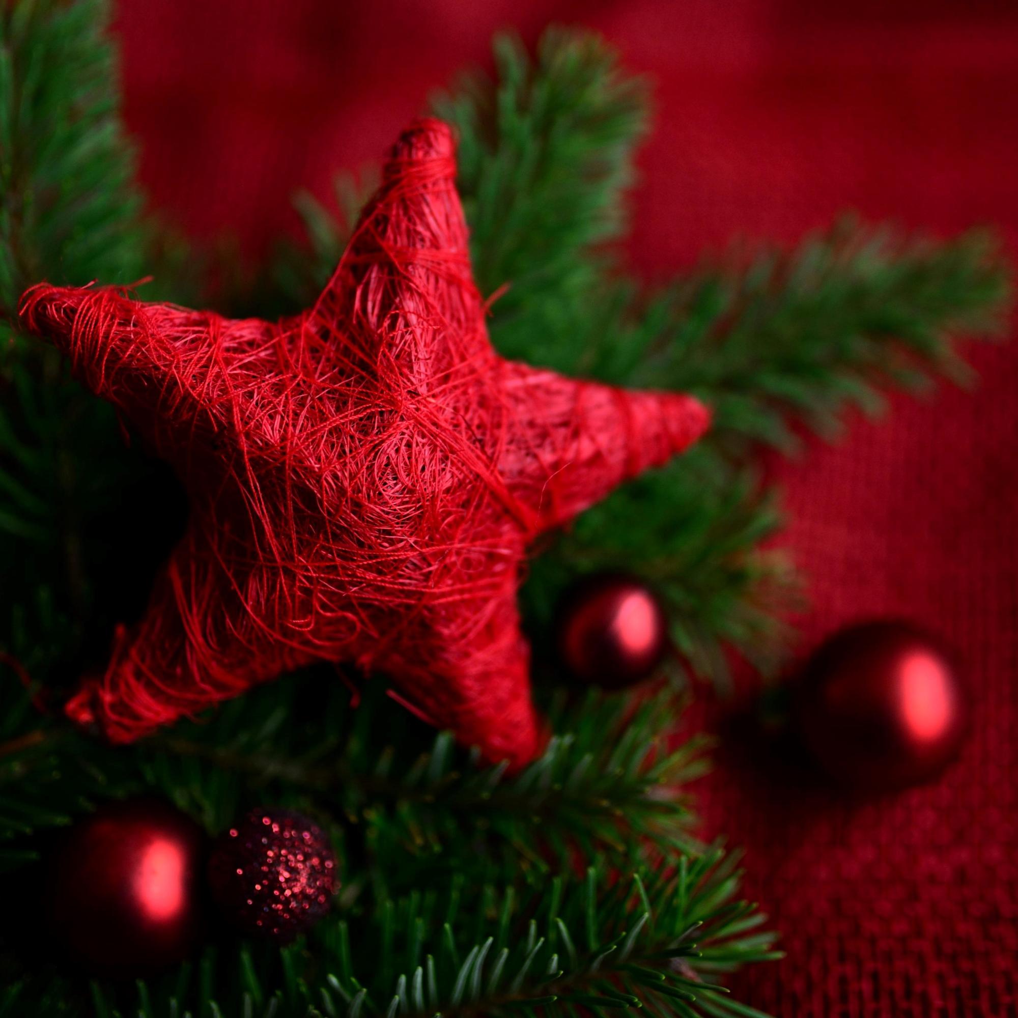 Weihnachtsstern