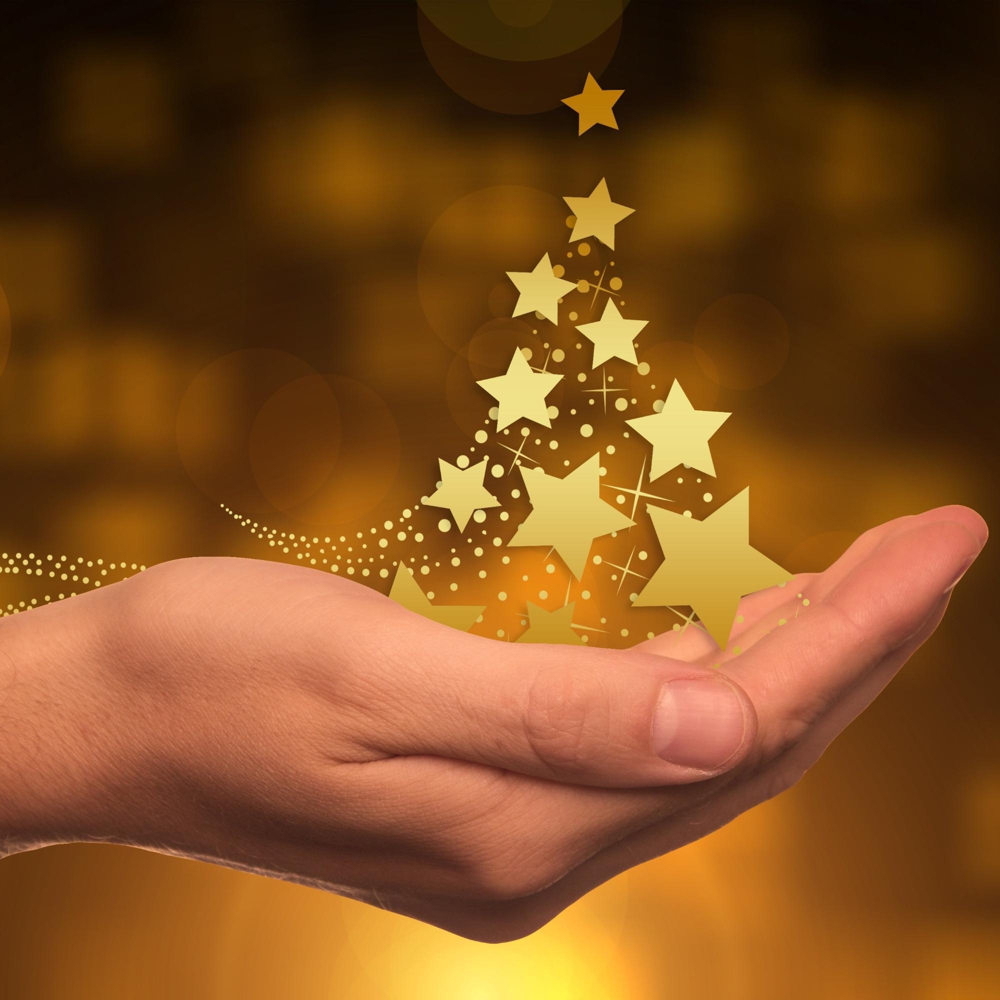 Weihnachtssterne auf Hand