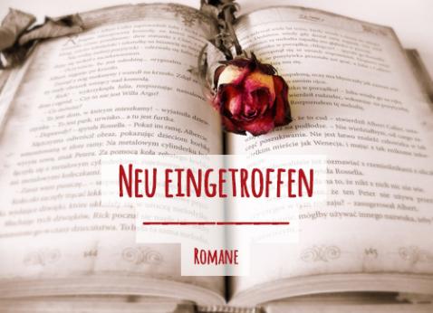 Neue Romane (c) pixabay / KÖB Maria Himmelskron