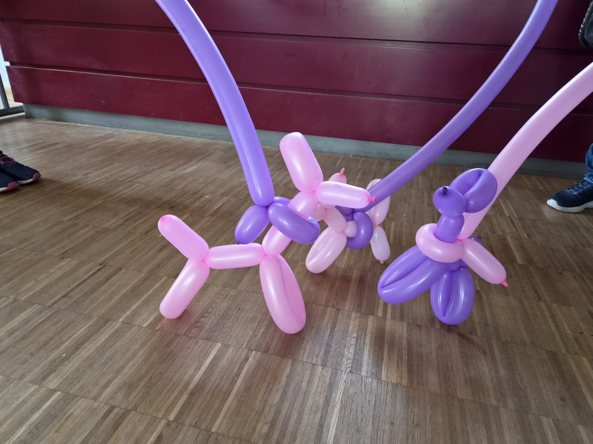 Ballonhunde Ballon Tiere