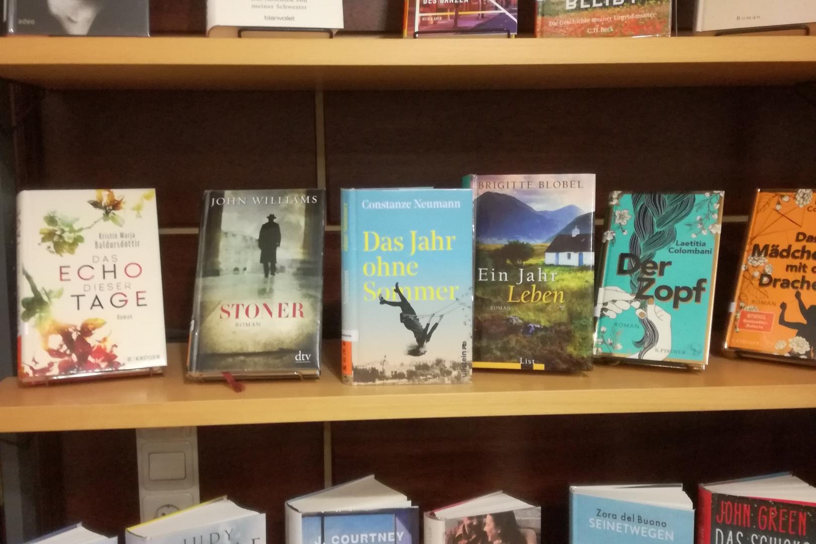 Thematische Buchausstellung in unserer Bücherei (c) Rosemarie Seipel