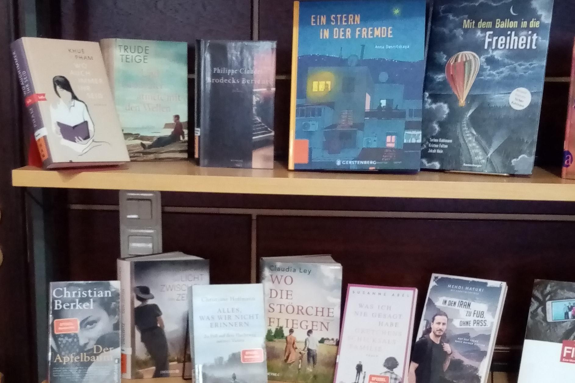 Thematische Buchausstellung in unserer Bücherei (c) Rosemarie Seipel