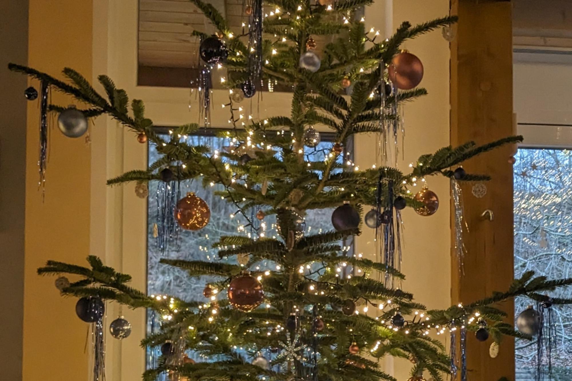 Weihnachtsbaum