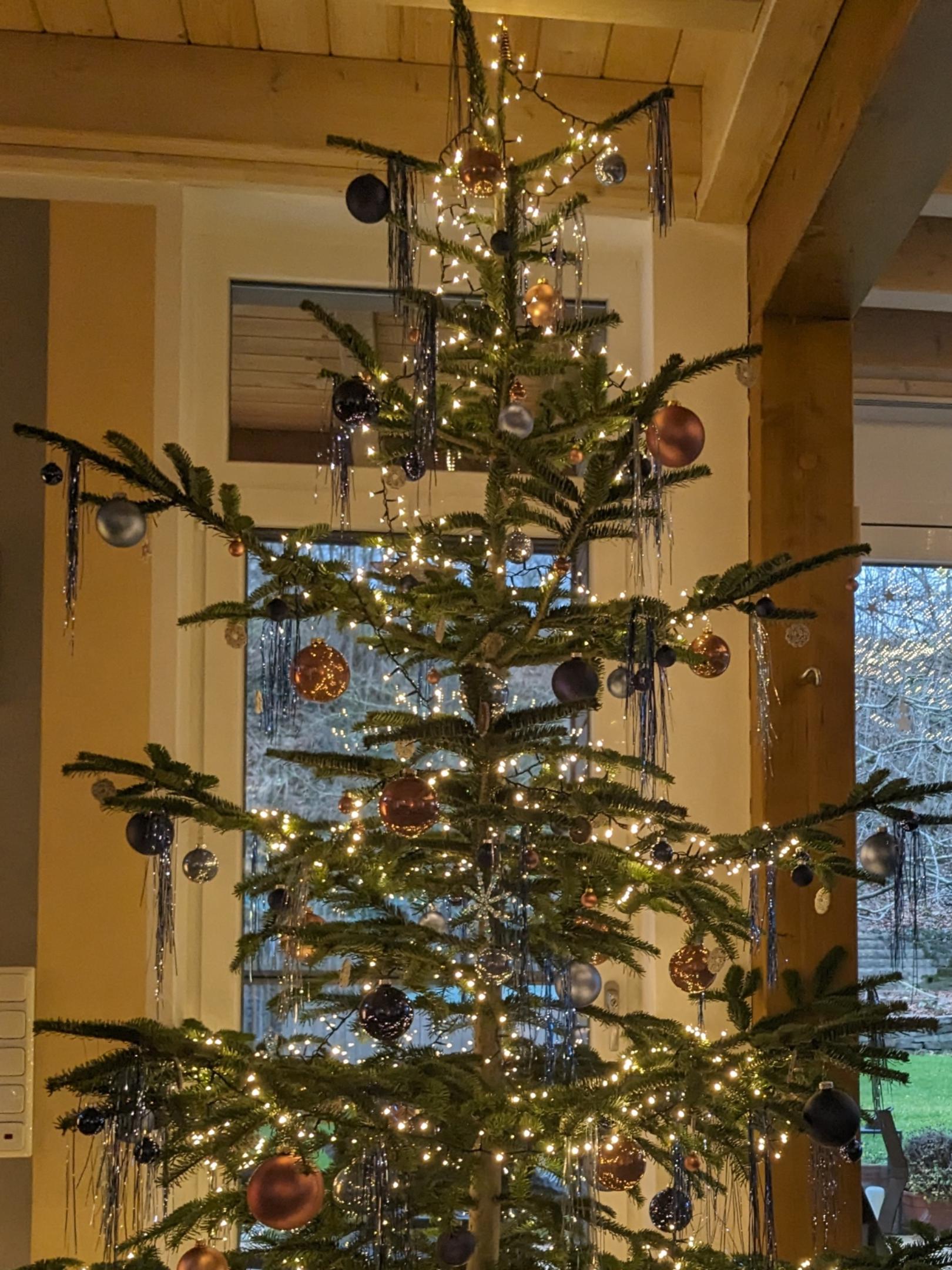 Weihnachtsbaum (c) Theresia Stather