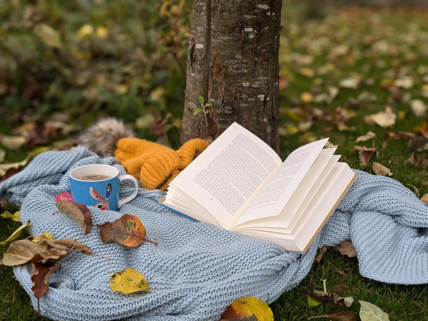 Herbstgarten (c) Theresia Stather