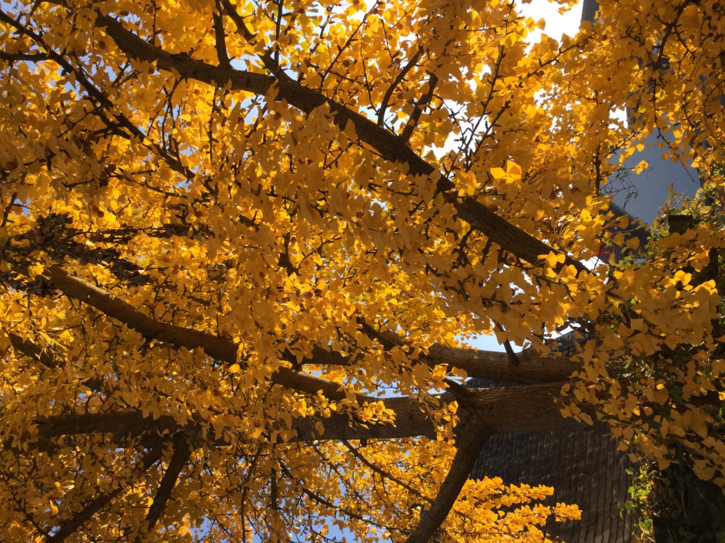 Herbststimmung (c) Klara Struck