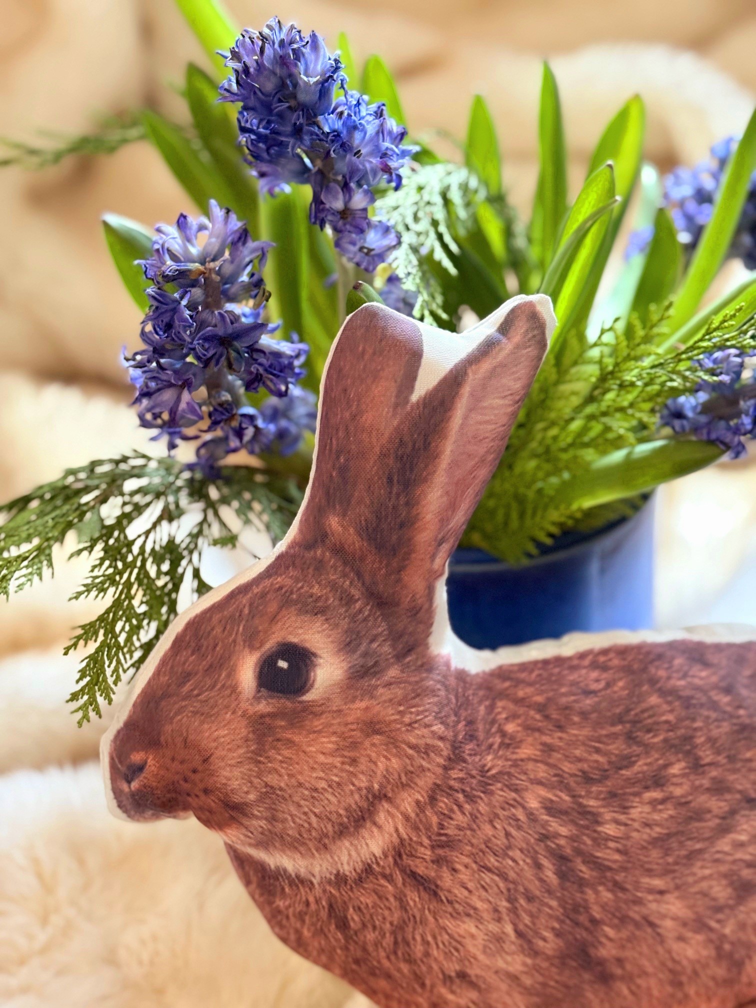 Hoppelhase2026 (c) U.V.S.