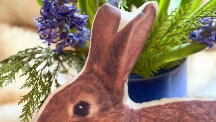 Hoppelhase2026
