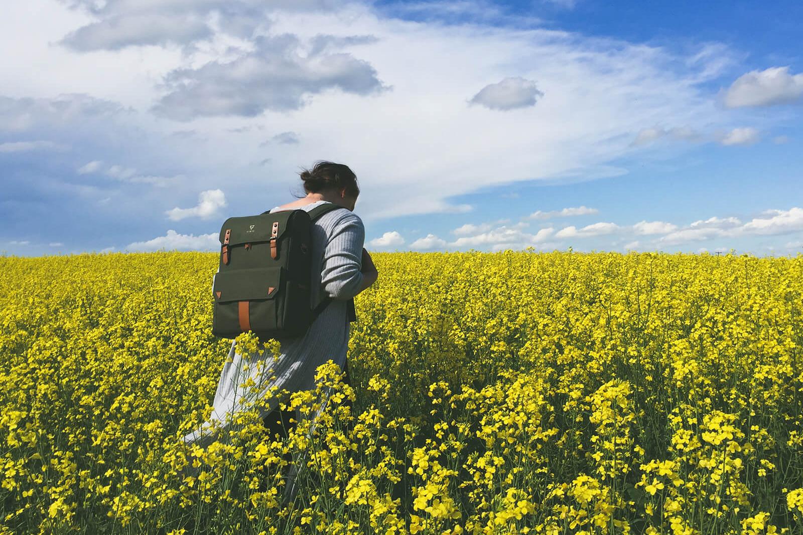 (c) CC0 1.0 - Public Domain (von unsplash.com)