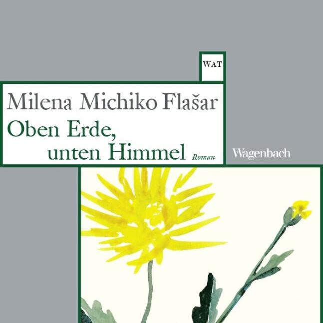 Cover: Oben Erde, unten Himmel