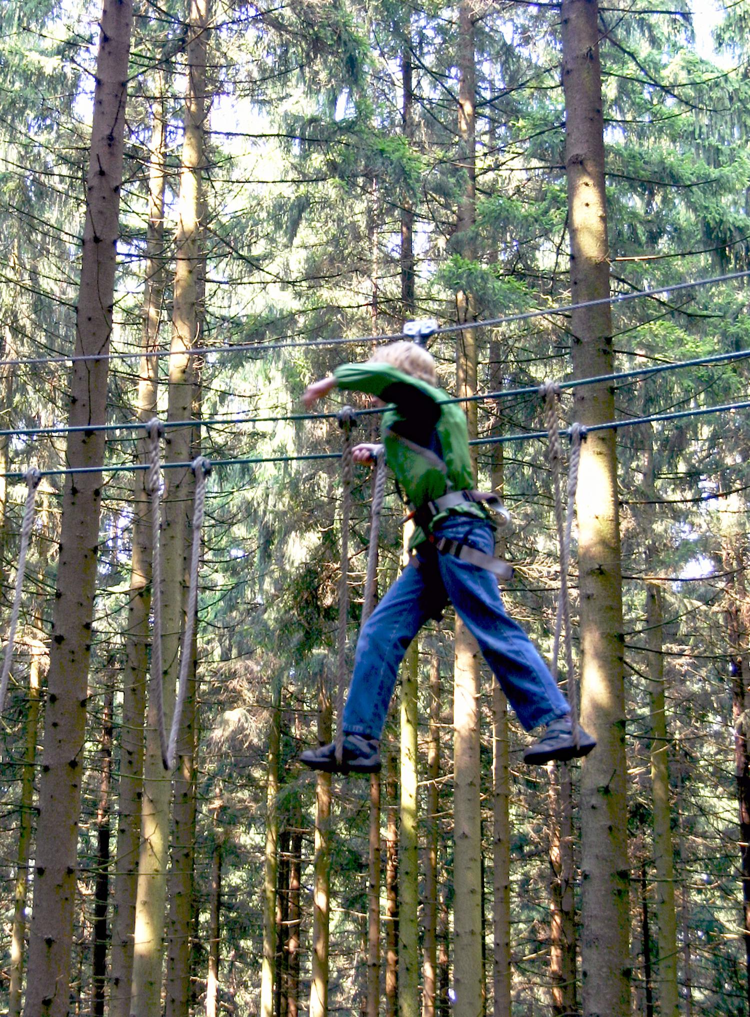 Mensch im Kletterwald