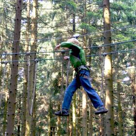 Mensch im Kletterwald