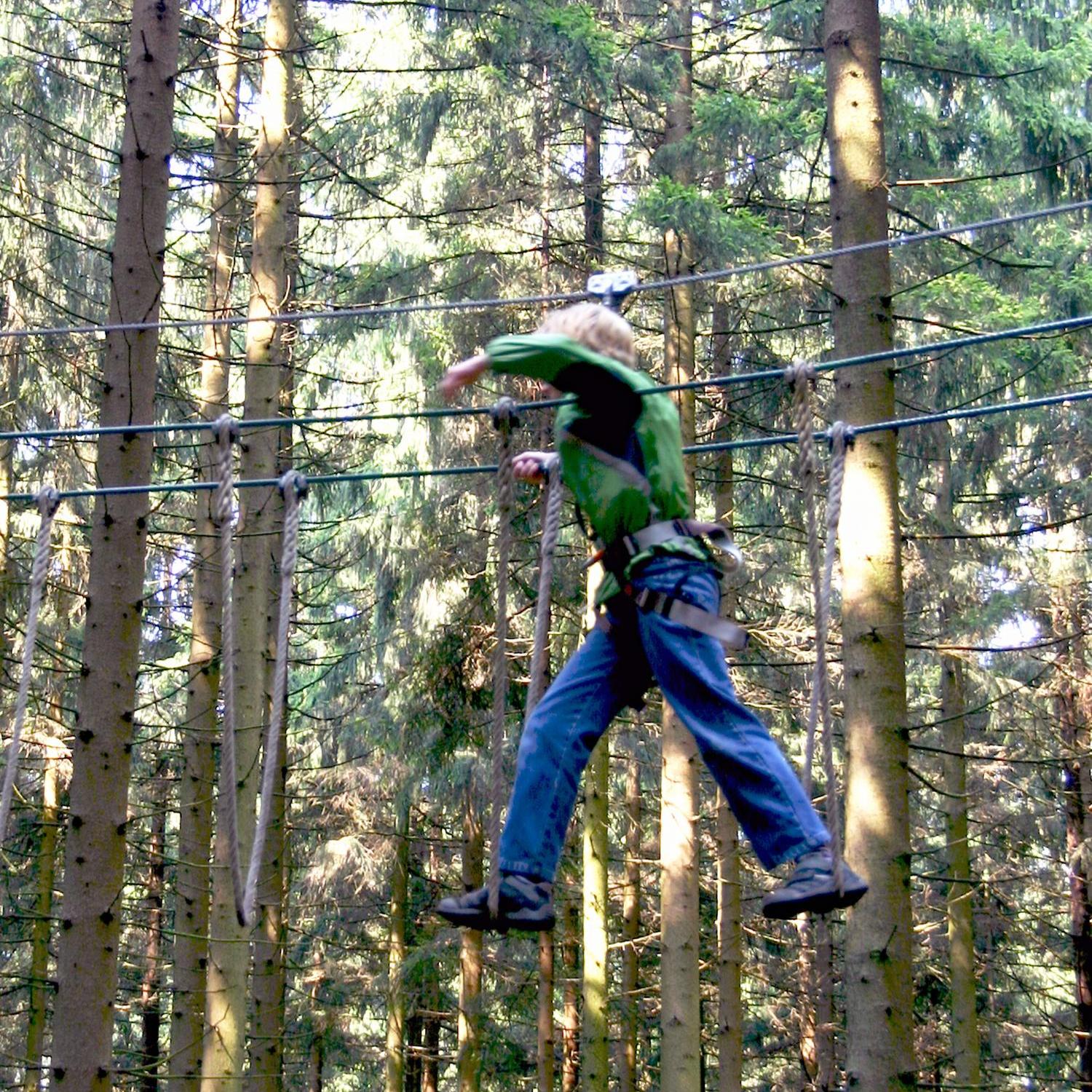 Mensch im Kletterwald