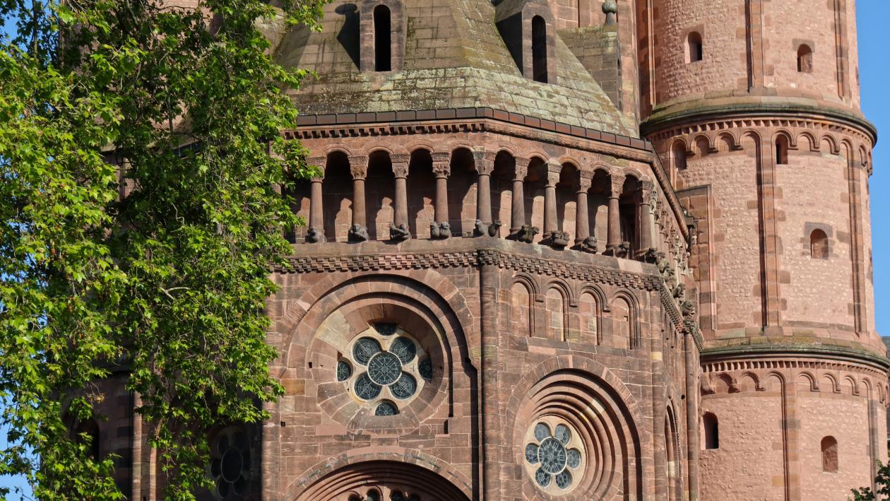 Worms Dom Westen