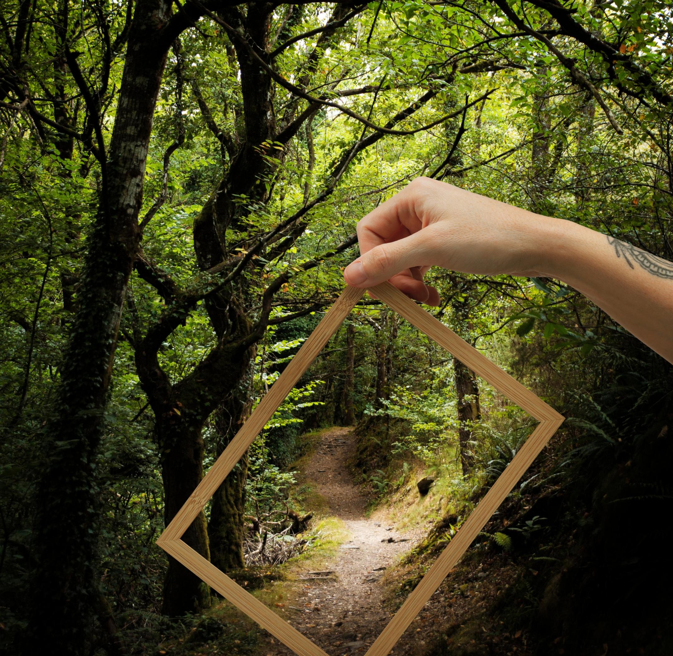 schone-landschaft-im-fotorahmen-enthalten