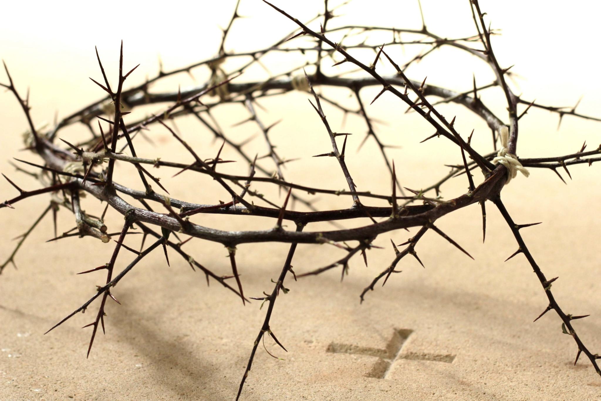 Foto einer Dornenkrone