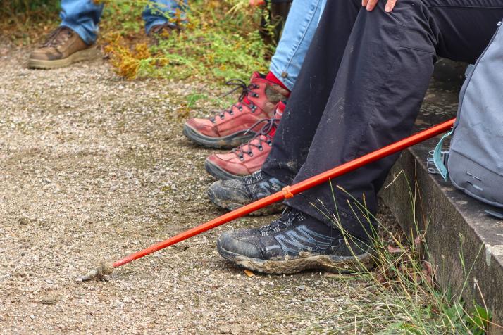 Wanderschuhe dreier Pilger:innen in Großansicht