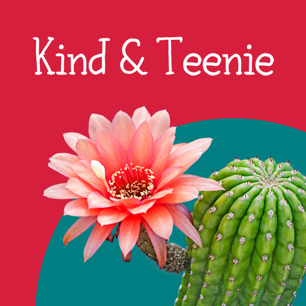 KindTeenie