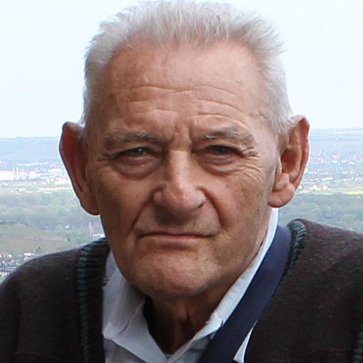 Krasnokucki Arthur
