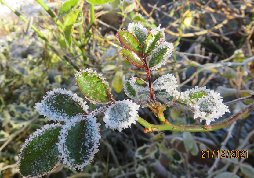 Winterzeit (c) Wolfgang Gondolf