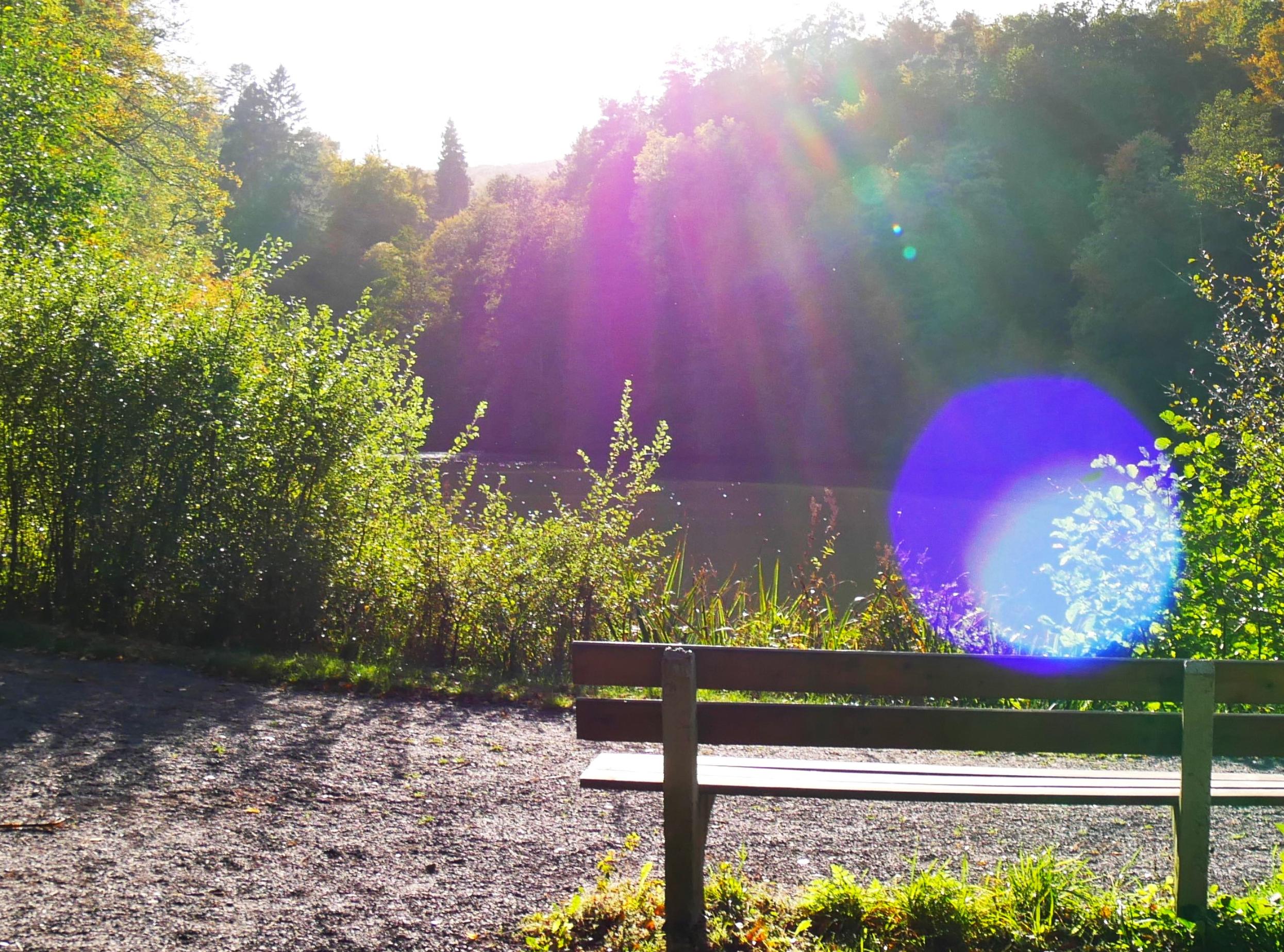 Bank am See mit Lichtspiegelung