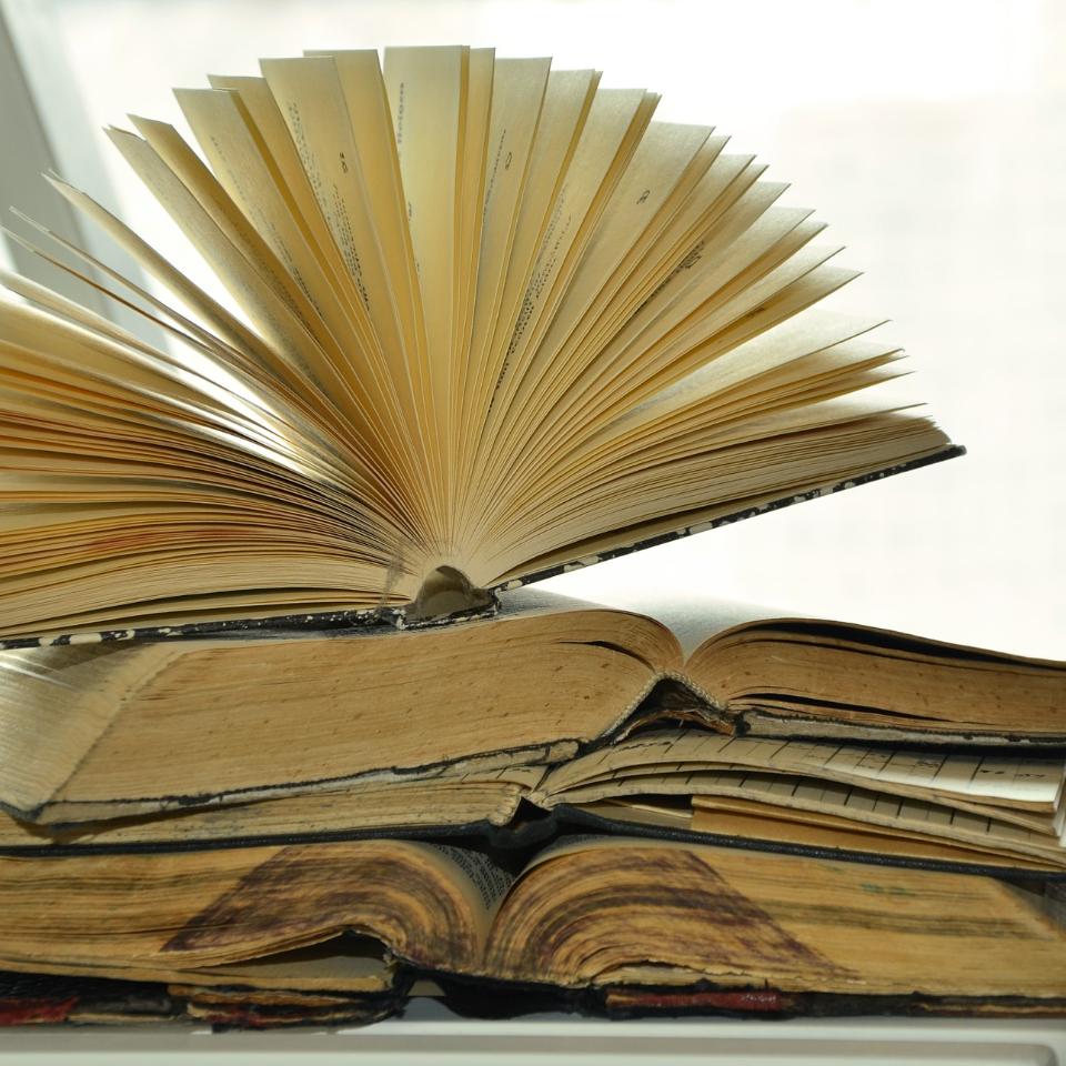 Literaturempfehlungen zur Orientierungshilfe (c) Bild von congerdesign auf Pixabay