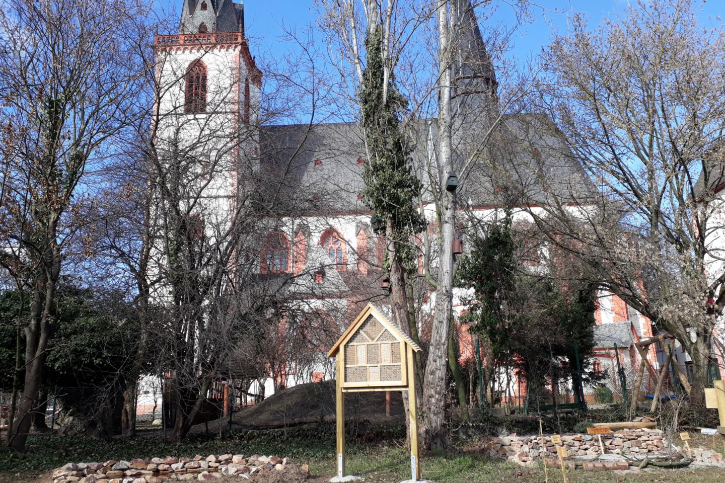 Unsere Kirche hat einen Garten! Eure (bald) auch? | Umwelt Bistum Mainz