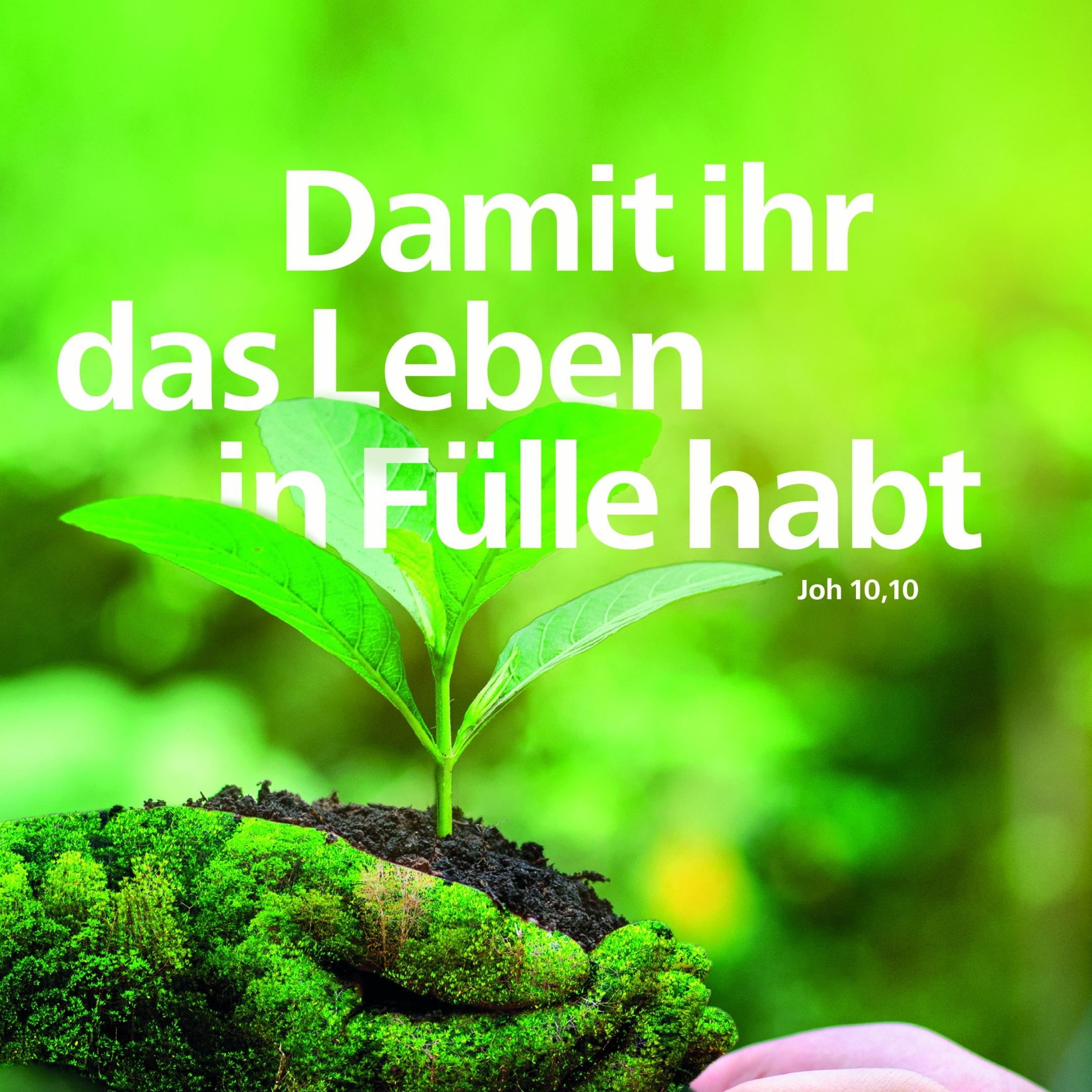 Motiv Tag der Schöpfung 2023