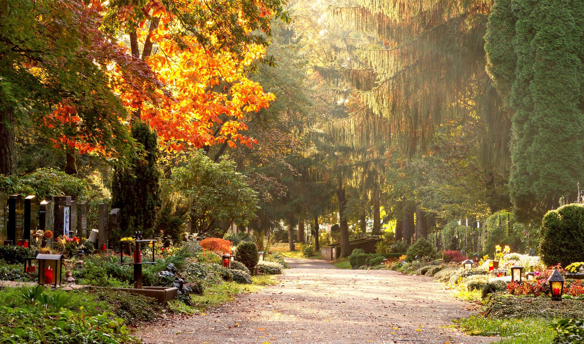 Friedhof im Herbstlicht