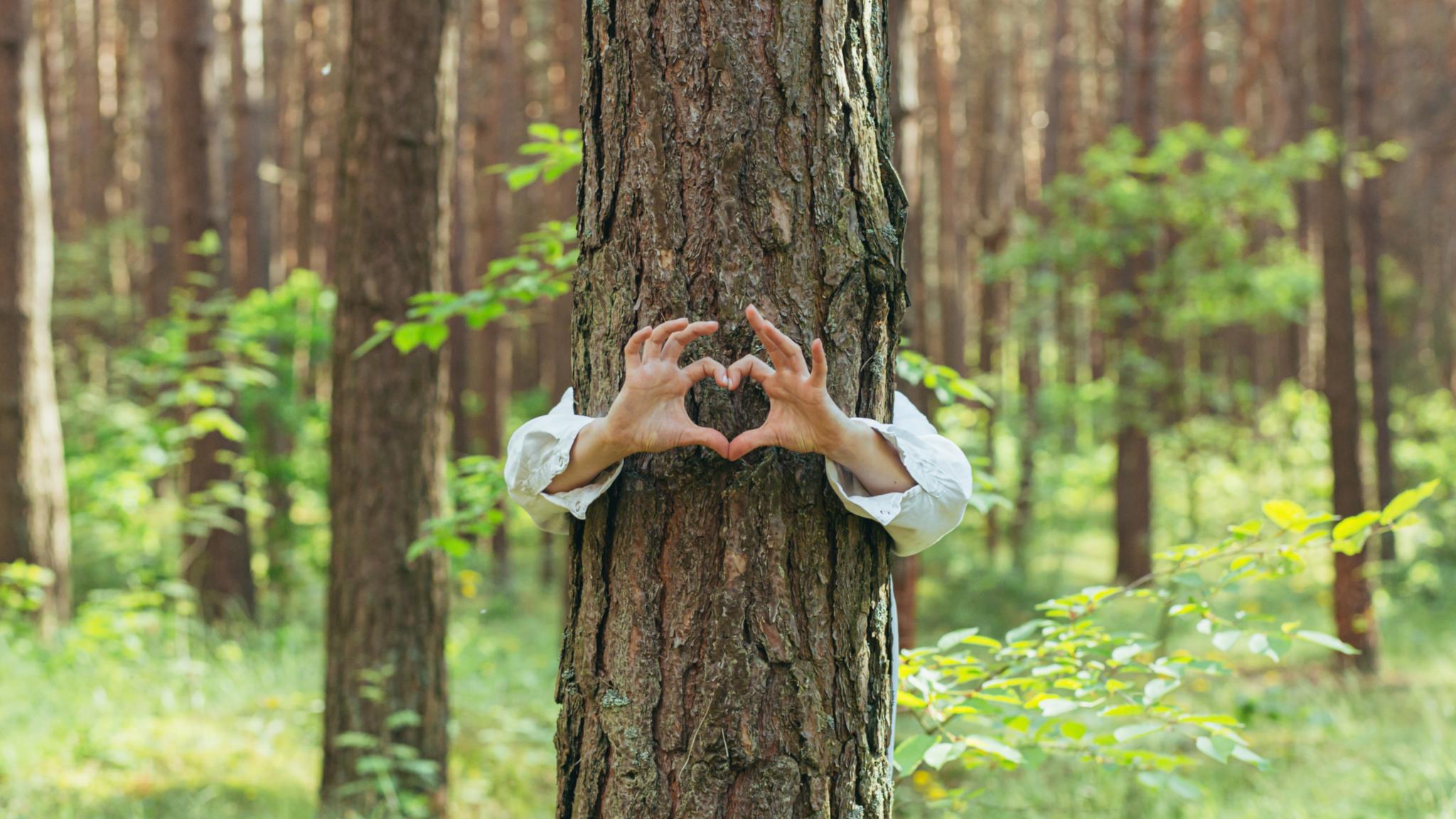 Liebe für die Natur