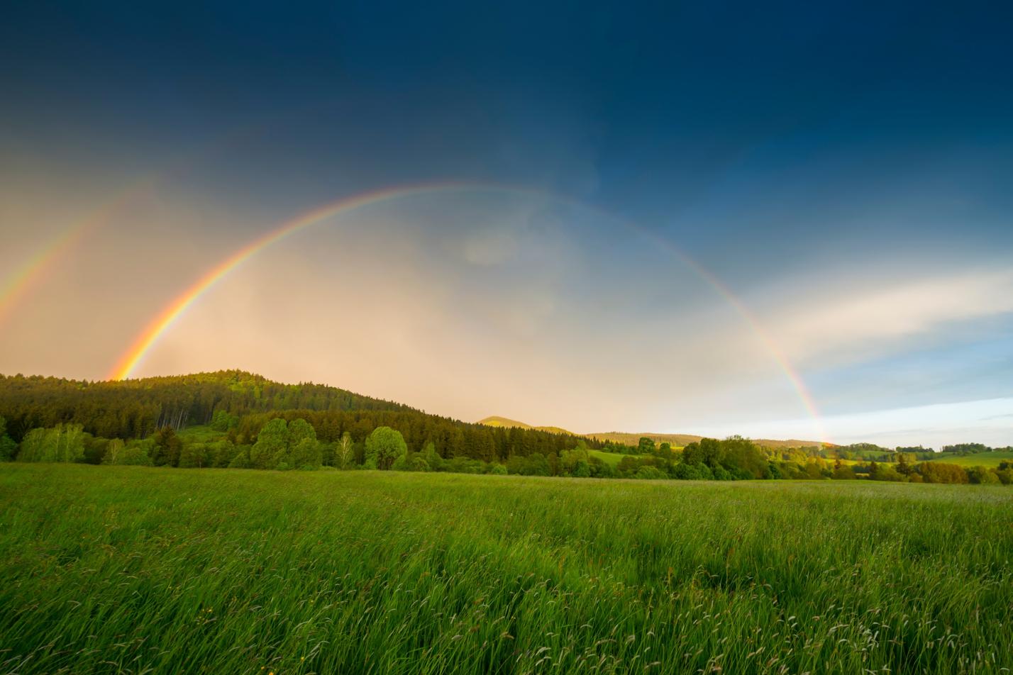 Regenbogen