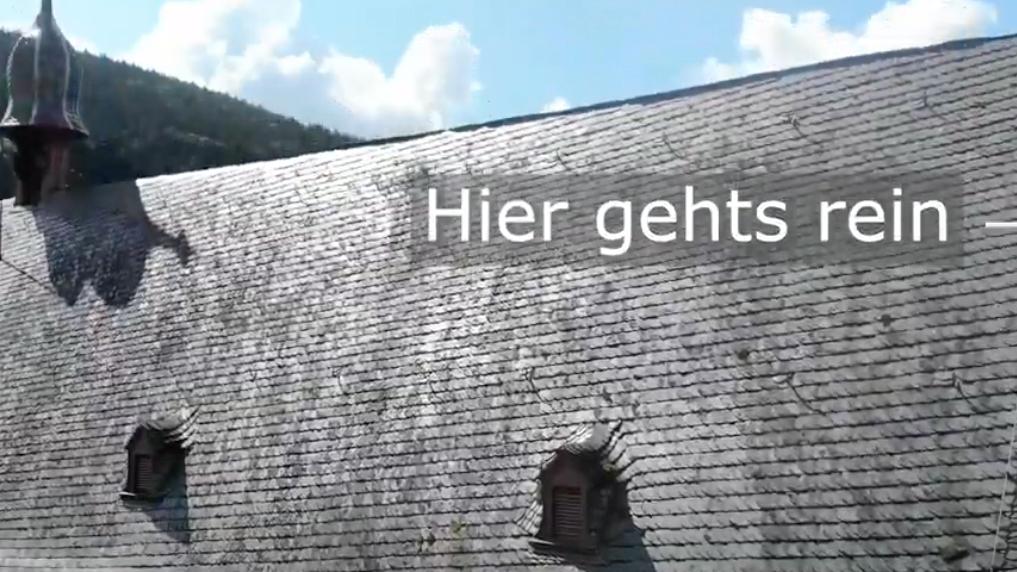 Hessens größte Fledermauskolonie in der Ersheimer Kapelle